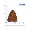 Monge Dog Speciality Line Adult Hypoallergenic Fish (для взрослых собак всех пород, гипоаллергенный, с лососем и тунцом) Monge Dog Speciality Line Adult Hypoallergenic Fish (для взрослых собак всех пород, гипоаллергенный, с лососем и тунцом)