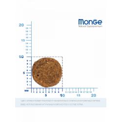 Monge Bwild Cat Grain Free Salmone (беззерновой корм для взрослых кошек с лососем и горохом) Monge Bwild Cat Grain Free Salmone (беззерновой корм для взрослых кошек с лососем и горохом)