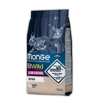 Monge Cat Bwild Low Grain Kitten (низкозерновой рацион для котят с гусиным мясом) Monge Cat Bwild Low Grain Kitten (низкозерновой рацион для котят с гусиным мясом)