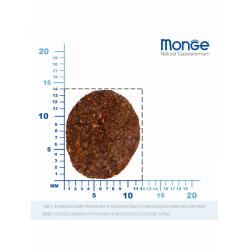 Monge Dog Bwild Low Grain Adult Goose (низкозерновой корм для взрослых собак всех пород со вкусом гуся) Monge Dog Bwild Low Grain Adult Goose (низкозерновой корм для взрослых собак всех пород со вкусом гуся)