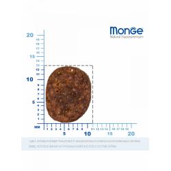 Monge Dog Bwild Low Grain Adult Wild Boar (низкозерновой корм для взрослых собак всех пород из мяса дикого кабана) Monge Dog Bwild Low Grain Adult Wild Boar (низкозерновой корм для взрослых собак всех пород из мяса дикого кабана)