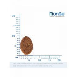 Monge Cat Bwild Low Grain Adult Anchovies (низкозерновой с анчоусами для взрослых кошек) Monge Cat Bwild Low Grain Adult Anchovies (низкозерновой с анчоусами для взрослых кошек)
