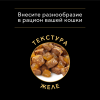 Pro Plan NutriSavour HOUSECAT (влажный корм для кошек живущих дома с индейкой в желе) 85г х 26шт