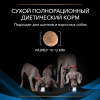 Pro Plan Veterinary Diets DRM Dermatosis (сухой корм для собак при при дерматозах и выпадении шерсти) Pro Plan Veterinary Diets DRM Dermatosis (сухой корм для собак при при дерматозах и выпадении шерсти)