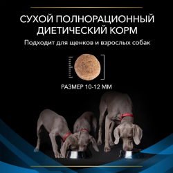 Pro Plan Veterinary Diets DRM Dermatosis (сухой корм для собак при при дерматозах и выпадении шерсти) Pro Plan Veterinary Diets DRM Dermatosis (сухой корм для собак при при дерматозах и выпадении шерсти)