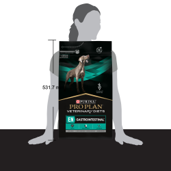 Pro Plan Veterinary Diets EN Gastrointestinal (сухой корм для собак при расстройствах пищеварения) Pro Plan Veterinary Diets EN Gastrointestinal (сухой корм для собак при расстройствах пищеварения)