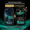 Pro Plan Veterinary Diets EN Gastrointestinal (сухой корм для собак при расстройствах пищеварения) Pro Plan Veterinary Diets EN Gastrointestinal (сухой корм для собак при расстройствах пищеварения)