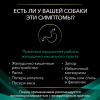 Pro Plan Veterinary Diets EN Gastrointestinal (сухой корм для собак при расстройствах пищеварения) Pro Plan Veterinary Diets EN Gastrointestinal (сухой корм для собак при расстройствах пищеварения)