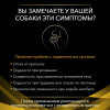 Pro Plan Veterinary Diets JM Joint Mobility (сухой корм собакам для поддержания здоровья суставов и хрящей) Pro Plan Veterinary Diets JM Joint Mobility (сухой корм собакам для поддержания здоровья суставов и хрящей)
