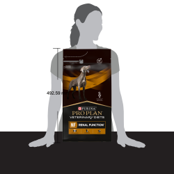 Pro Plan Veterinary Diets NF Renal Function (сухой корм для собак при патологии почек) Pro Plan Veterinary Diets NF Renal Function (сухой корм для собак при патологии почек)