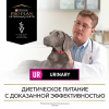 Pro Plan Veterinary Diets UR Urinary ( сухой корм для собак при образовании мочевых камней) Pro Plan Veterinary Diets UR Urinary ( сухой корм для собак при образовании мочевых камней)