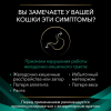 Pro Plan Veterinary Diets EN ST/OX Gastrointestinal (сухой корм для кошек и котят при расстройствах пищеварения) Pro Plan Veterinary Diets EN ST/OX Gastrointestinal (сухой корм для кошек и котят при расстройствах пищеварения)