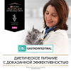 Pro Plan Veterinary Diets EN ST/OX Gastrointestinal (сухой корм для кошек и котят при расстройствах пищеварения) Pro Plan Veterinary Diets EN ST/OX Gastrointestinal (сухой корм для кошек и котят при расстройствах пищеварения)
