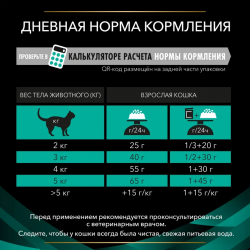 Pro Plan Veterinary Diets EN ST/OX Gastrointestinal (сухой корм для кошек и котят при расстройствах пищеварения) Pro Plan Veterinary Diets EN ST/OX Gastrointestinal (сухой корм для кошек и котят при расстройствах пищеварения)