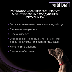 Pro Plan Veterinary Diets FortiFlora (для собак и щенков поддержка баланс микрофлоры и здоровье кишечника) Pro Plan Veterinary Diets FortiFlora (для собак и щенков поддержка баланс микрофлоры и здоровье кишечника)