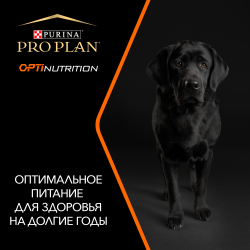 Pro Plan Large Athletic Adult (сухой корм для взрослых собак крупных пород с курицей и рисом)