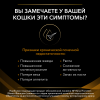 Pro Plan Veterinary Diets NF ST/OX Renal Function (сухой корм для кошек при патологии почек на ранней стадии) Pro Plan Veterinary Diets NF ST/OX Renal Function (сухой корм для кошек при патологии почек на ранней стадии)