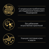 Pro Plan OptiSavour (влажный корм для собак с лососем в соусе) 85г х 26шт Pro Plan OptiSavour (влажный корм для собак с лососем в соусе) 85г х 26шт