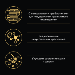 Pro Plan OptiSavour (влажный корм для собак с лососем в соусе) 85г х 26шт Pro Plan OptiSavour (влажный корм для собак с лососем в соусе) 85г х 26шт