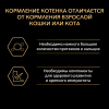 Pro Plan Original Kitten (сухой корм для котят с курицей) Pro Plan Original Kitten (сухой корм для котят с курицей)