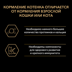 Pro Plan Original Kitten (сухой корм для котят с курицей) Pro Plan Original Kitten (сухой корм для котят с курицей)