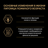Pro Plan Senior 7+ (сухой корм для кошек старше 7 лет с лососем) Pro Plan Senior 7+ (сухой корм для кошек старше 7 лет с лососем)