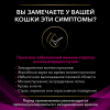 Pro Plan Veterinary Diets UR St/Ox Urinary  (сухой корм для кошек при болезнях нижних отделов мочевыводящих путей) Pro Plan Veterinary Diets UR St/Ox Urinary  (сухой корм для кошек при болезнях нижних отделов мочевыводящих путей)