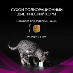 Pro Plan Veterinary Diets UR St/Ox Urinary  (сухой корм для кошек при болезнях нижних отделов мочевыводящих путей) Pro Plan Veterinary Diets UR St/Ox Urinary  (сухой корм для кошек при болезнях нижних отделов мочевыводящих путей)