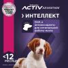 Eukanuba Puppy Medium Breed (для щенков средних пород от 1 до 12 месяцев, с птицей) Eukanuba Puppy Medium Breed (для щенков средних пород от 1 до 12 месяцев, с птицей)