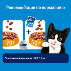 Purina Felix Двойная вкуснятина Сухой корм для кошек (Мясо) Purina Felix Двойная вкуснятина Сухой корм для кошек (Мясо)