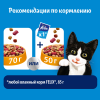 Purina Felix Двойная вкуснятина Сухой корм для кошек (Птица) Purina Felix Двойная вкуснятина Сухой корм для кошек (Птица)
