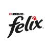 Felix Felix