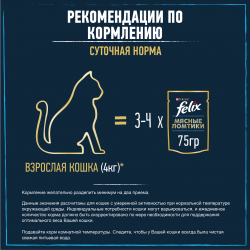 Purina Felix (Мясные ломтики для взрослых кошек с уткой) 85г х 26шт