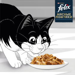 Purina Felix (Мясные ломтики для взрослых кошек с уткой) 85г х 26шт