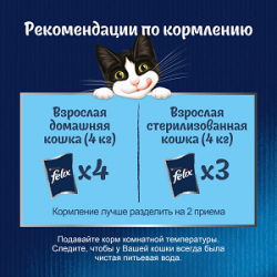 Purina Felix Sensations (утка и морковь в соусе) 85г х 26шт Purina Felix Sensations (утка и морковь в соусе) 85г х 26шт