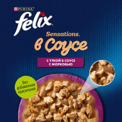 Purina Felix Sensations (утка и морковь в соусе) 85г х 26шт Purina Felix Sensations (утка и морковь в соусе) 85г х 26шт