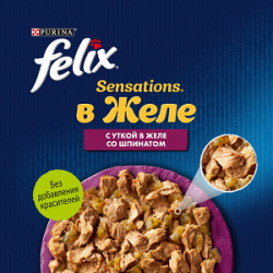 Purina Felix Sensations (утка со шпинатом в желе) 85г х 26шт Purina Felix Sensations (утка со шпинатом в желе) 85г х 26шт