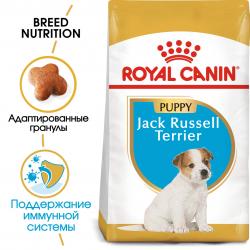 Royal Canin Jack Russell Terrier Puppy (для щенков породы Джек Рассел терьер до 10 месяцев) Royal Canin Jack Russell Terrier Puppy (для щенков породы Джек Рассел терьер до 10 месяцев)