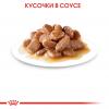 Royal Canin Ageing 12+ 85г х 12шт (соус для кошек старше 12 лет)  Royal Canin Ageing 12+ 85г х 12шт (соус для кошек старше 12 лет)