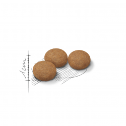 Royal Canin Ageing 12+ Sterilized (для кошек старше 12 лет) Royal Canin Ageing 12+ Sterilized (для кошек старше 12 лет)