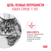 Royal Canin Ageing 11+ (для кошек старше 11 лет) Royal Canin Ageing 11+ (для кошек старше 11 лет)