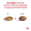 Royal Canin Ageing 11+ (для кошек старше 11 лет) Royal Canin Ageing 11+ (для кошек старше 11 лет)