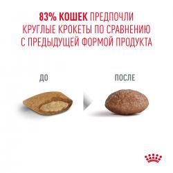 Royal Canin Ageing 11+ (для кошек старше 11 лет) Royal Canin Ageing 11+ (для кошек старше 11 лет)