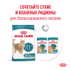 Royal Canin Ageing 11+ (для кошек старше 11 лет) Royal Canin Ageing 11+ (для кошек старше 11 лет)