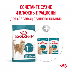 Royal Canin Ageing 11+ (для кошек старше 11 лет) Royal Canin Ageing 11+ (для кошек старше 11 лет)