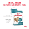 Royal Canin Ageing 11+ (для кошек старше 11 лет) Royal Canin Ageing 11+ (для кошек старше 11 лет)