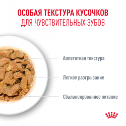 Royal Canin Ageing 11+ 85г х 12шт (соус для кошек старше 11 лет) Royal Canin Ageing 11+ 85г х 12шт (соус для кошек старше 11 лет)