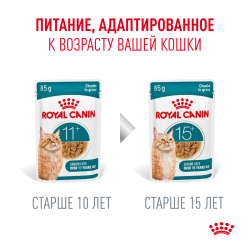 Royal Canin Ageing 11+ 85г х 12шт (соус для кошек старше 11 лет) Royal Canin Ageing 11+ 85г х 12шт (соус для кошек старше 11 лет)