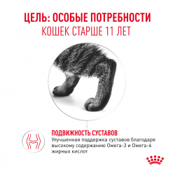 Royal Canin Ageing 11+ 85гр x 12шт (желе для кошек старше 11 лет) Royal Canin Ageing 11+ 85гр x 12шт (желе для кошек старше 11 лет)