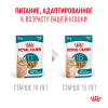 Royal Canin Ageing 11+ 85гр x 12шт (желе для кошек старше 11 лет) Royal Canin Ageing 11+ 85гр x 12шт (желе для кошек старше 11 лет)